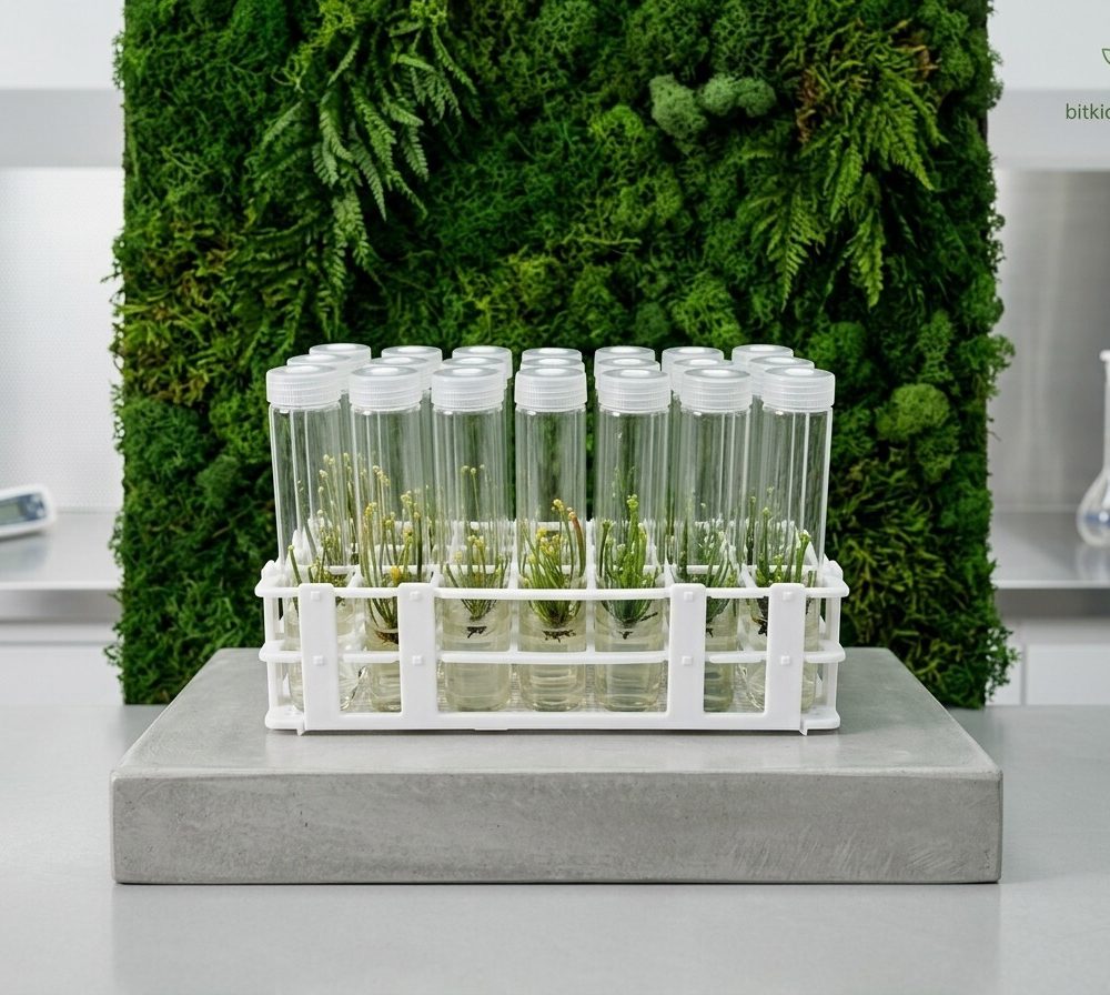 Vented Plant TC Test Tubes