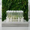 Vented Plant TC Test Tubes