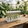 Vented Plant TC Test Tubes