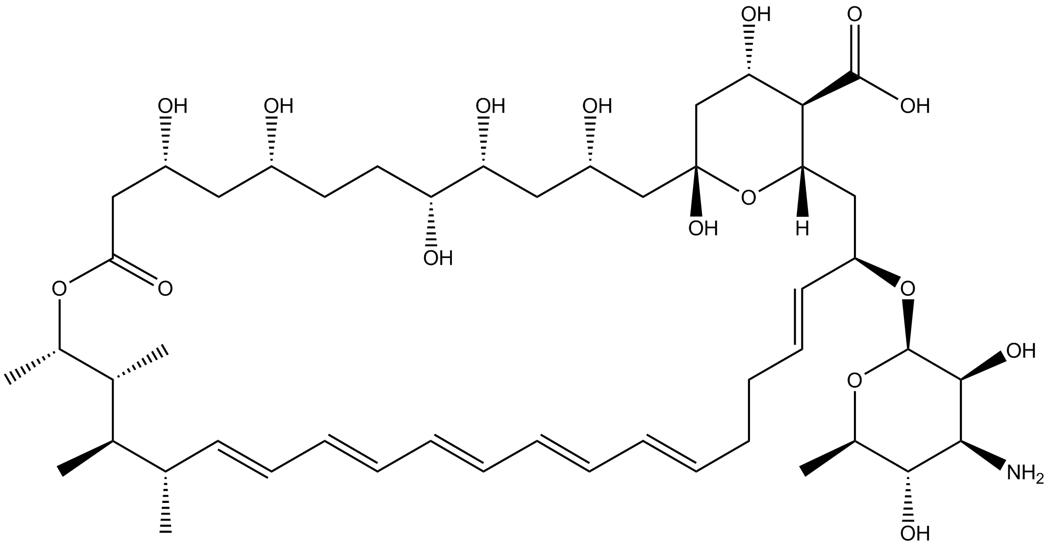 Amphotericin B A119
