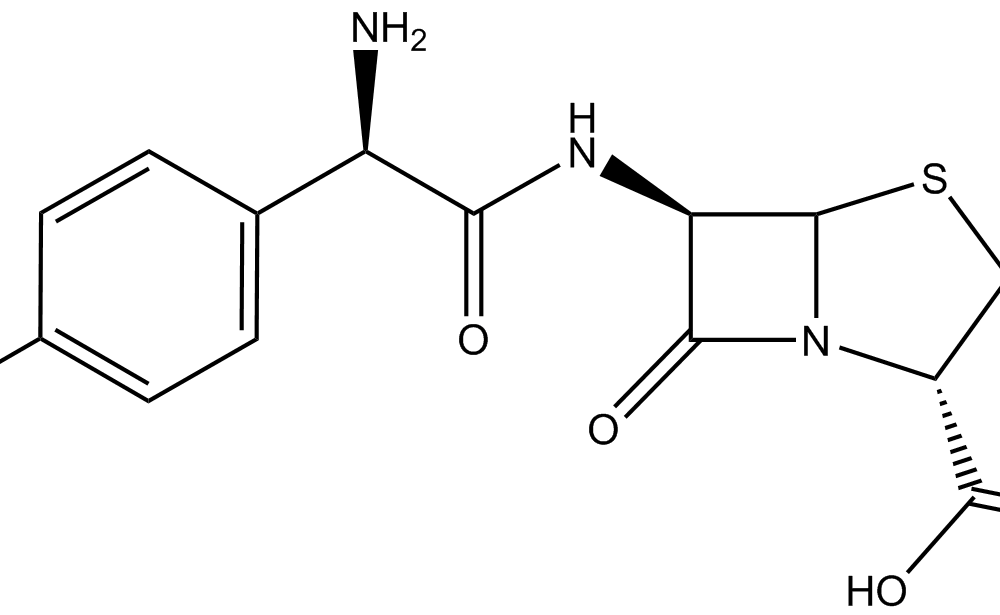 Amoxicillin A122