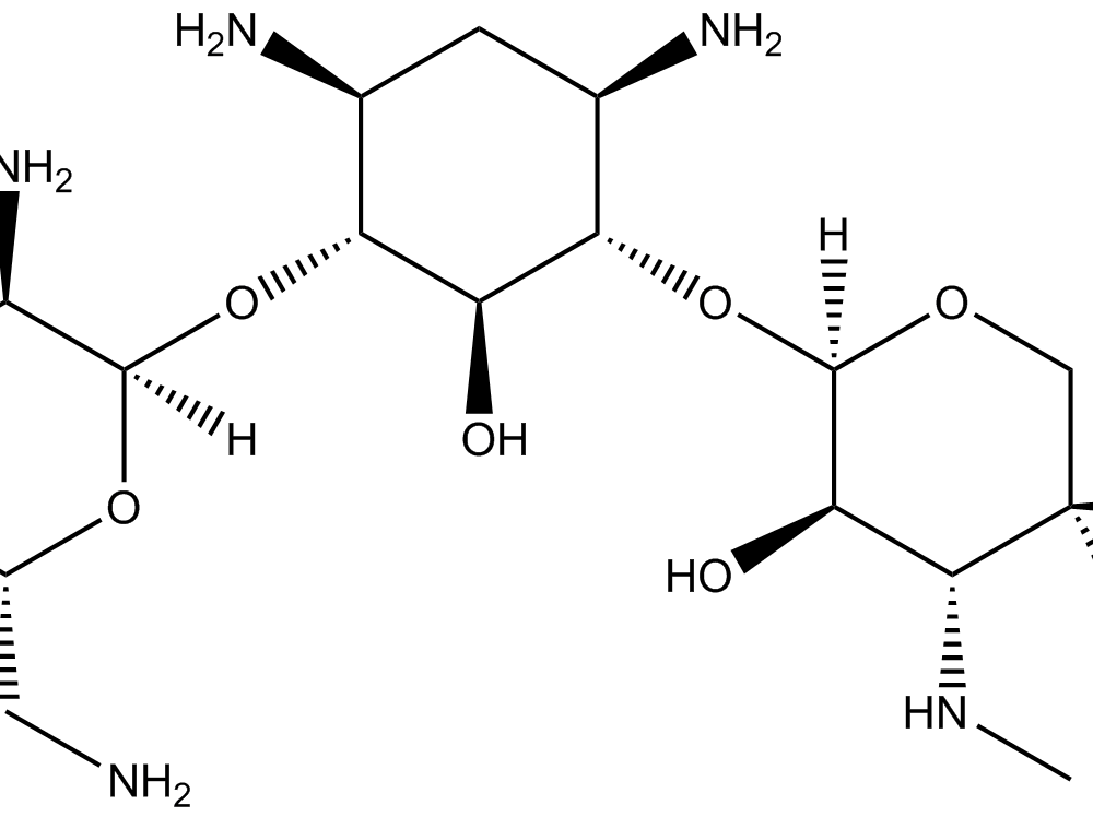 Gentamicin Sulfate