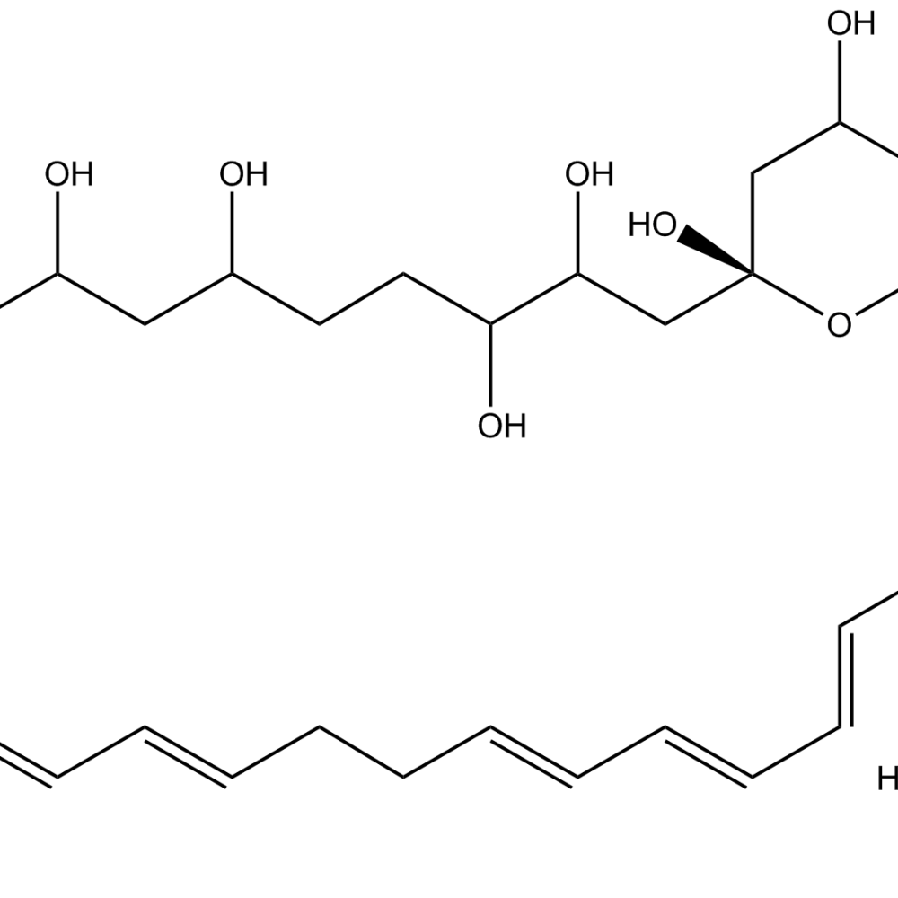 Nystatin N581