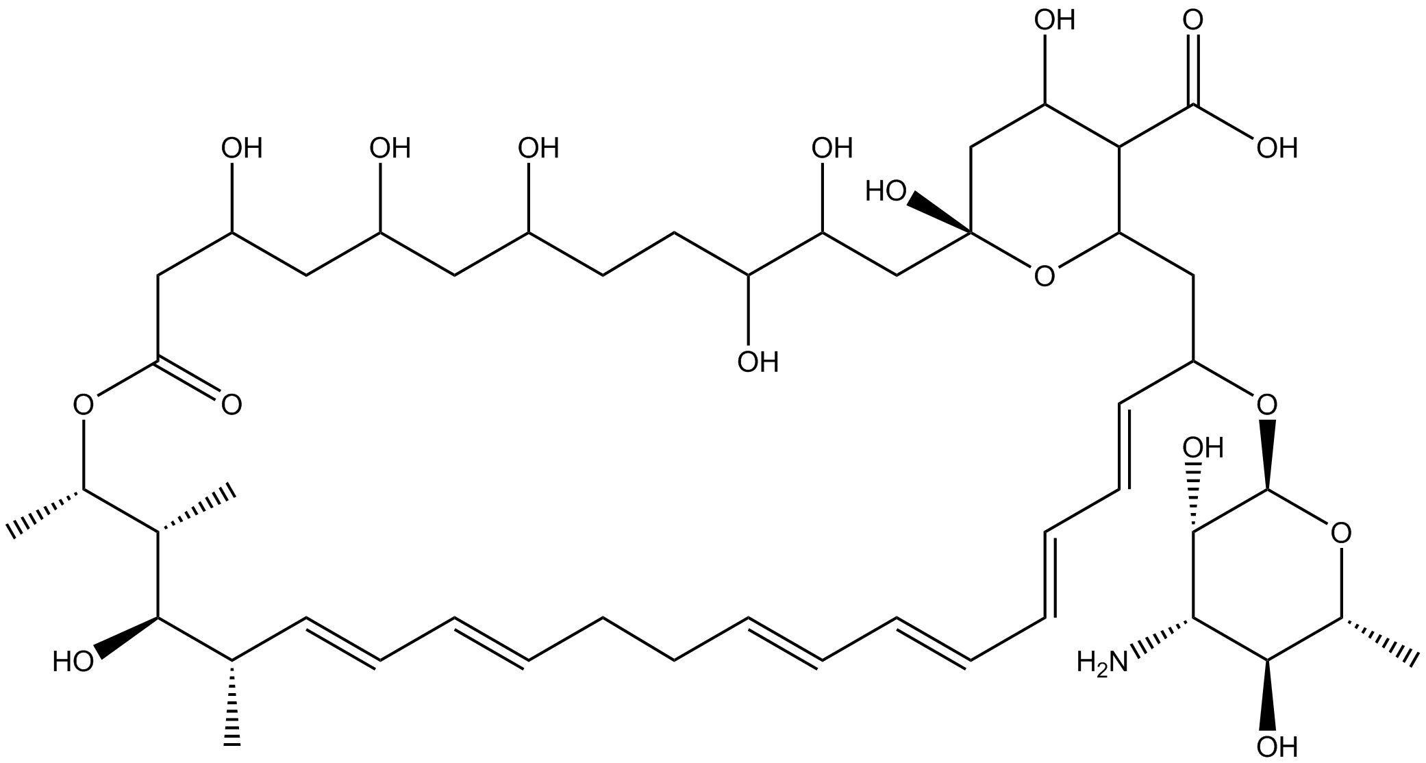 Nystatin N581