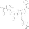 Polymyxin B